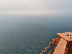 Ein Blick vom Forschungsturm ATTO zeigt den Rauchschleier, der derzeit über dem Amazonas liegt.