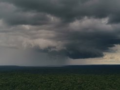 A dense forest stretches across the horizon beneath thick, dark storm clouds. An impending storm leads to heavy rainfall in the distance.
