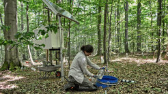 The research team analyzed ground water and soil seepage water at three different sites in Germany, including in the Hainich Critical Zone Exploratory within the Hainich National Park.