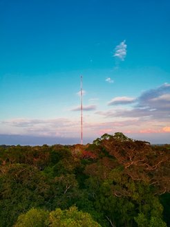 Sonnenuntergang im Amazonas Regenwald mit Blick auf den ATTO-Turm