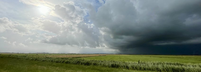 Vegetation, Sonne und Gewitterwolken stehen für die Forschungsthemen der Gruppe. (Copyright A. Kleidon/BGC) Ebene mit Grasbewuchs, Sonne und Wolken