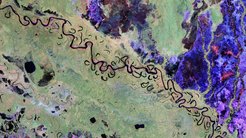 Wald und Landschaft in Bolivien von BIOMASS