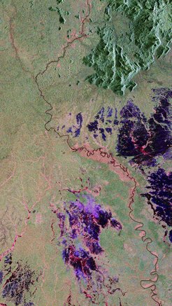 Satellitenaufnahme von Regenwald