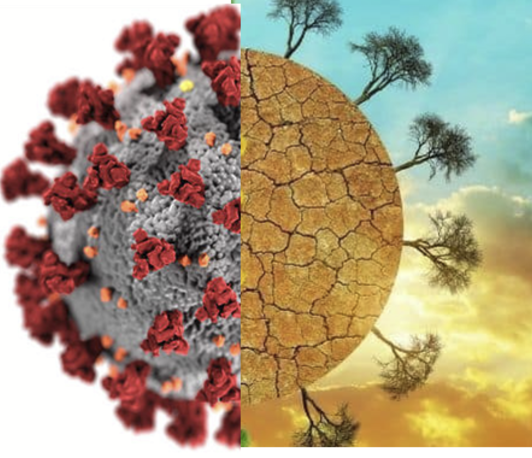 HK2023 - Climate crisis and systemic risks: Lessons Learned from COVID-19 HK2023 - Climate crisis and systemic risks: Lessons Learned from COVID-19