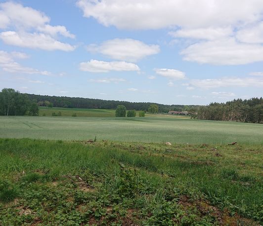 Landwende: Wie wollen wir leben? Landwende: Wie wollen wir leben?