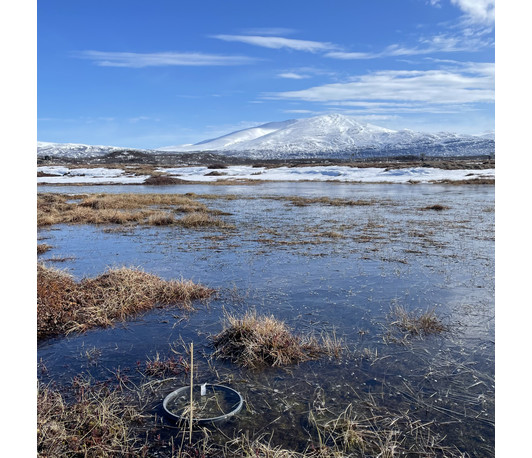 Arktischer Permafrost Arktischer Permafrost