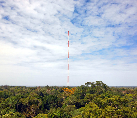 Hoch hinaus für die Klimaforschung im Amazonas-Regenwald Hoch hinaus für die Klimaforschung im Amazonas-Regenwald