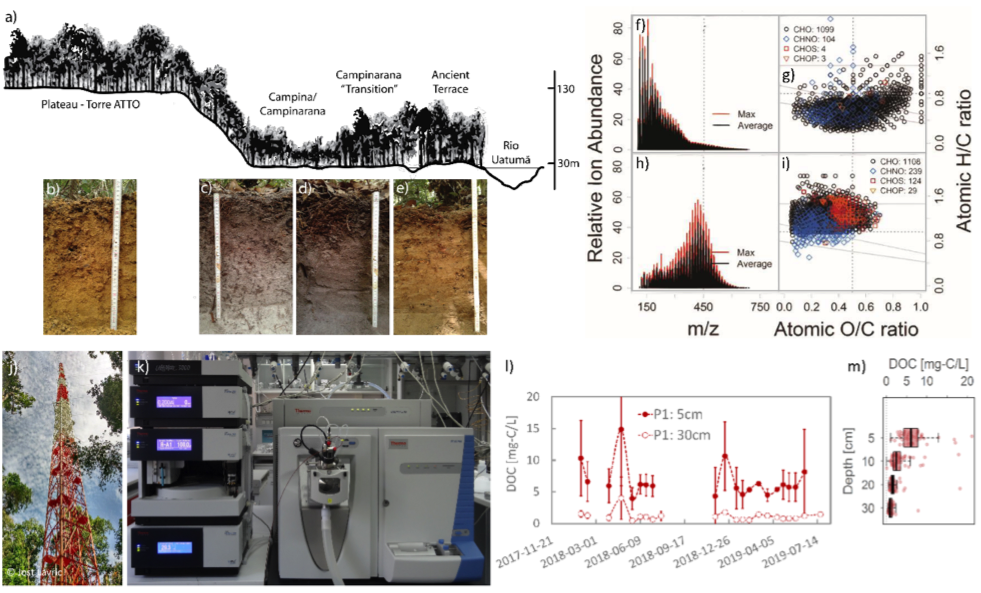 Studying the seasonal metabolism of the tropical critical zone by novel molecular markers: (a - e) Schematic landscape section of different forests and their topsoil (up to ~ 40 cm depth) at the ATTO site; (f – i) DOM fingerprints assessed by Orbitrap mass spectrometry, in usual displays as mass spectrum (left panels) and Van Krevelen plots (right panels); (j) View of the central 325m tower at the Amazon Tall Tower Observatory (ATTO; © Jost Lavric, MPI-BGC); (k) Front view of the LC-Orbitrap Elite MS system at MPI-BGC Jena; (l) DOC time series from lysimeters at a terra firme forest site (soil profile shown in b) installed in 5 and 30 cm soil depth, with a pronounced drought from August to November 2018; (m) Depth trends in DOC concentration across all time points and depths at the same site (b).