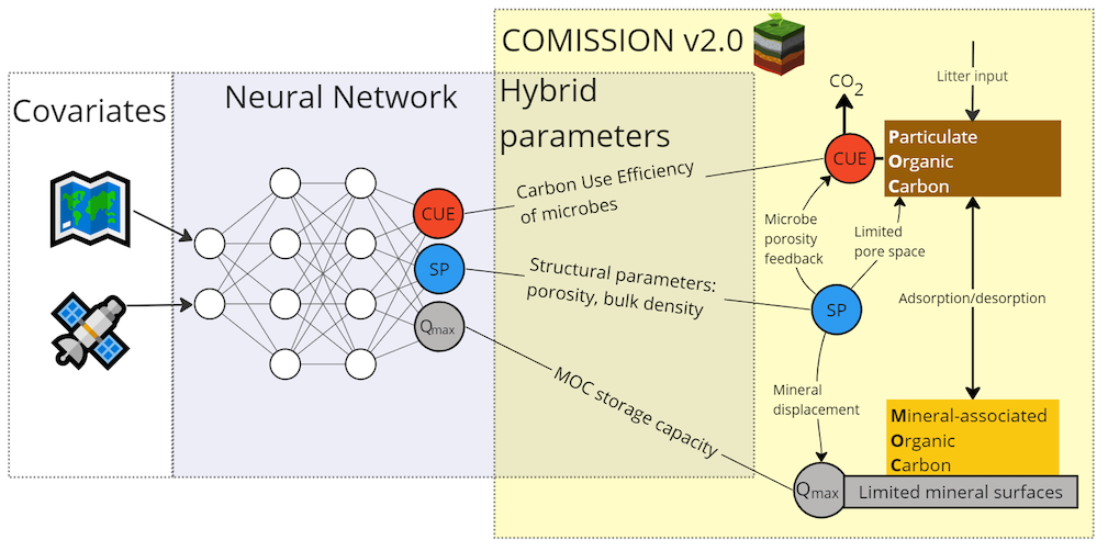 Figure 1: Hybrid modelling framework that links machine learning (Neural Network in figure) and a mechanistic soil organic carbon and soil structure model through learning of hybrid mechanistic parameters.