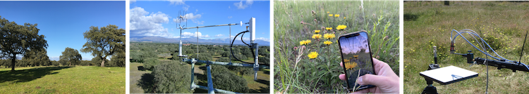 Left to right: Landscape of the Majadas de Tiétar research station; Eddy covariance flux tower; Automated identification of plant species via Flora Incognita; Hyperspectral measurements at Majadas de Tiétar.