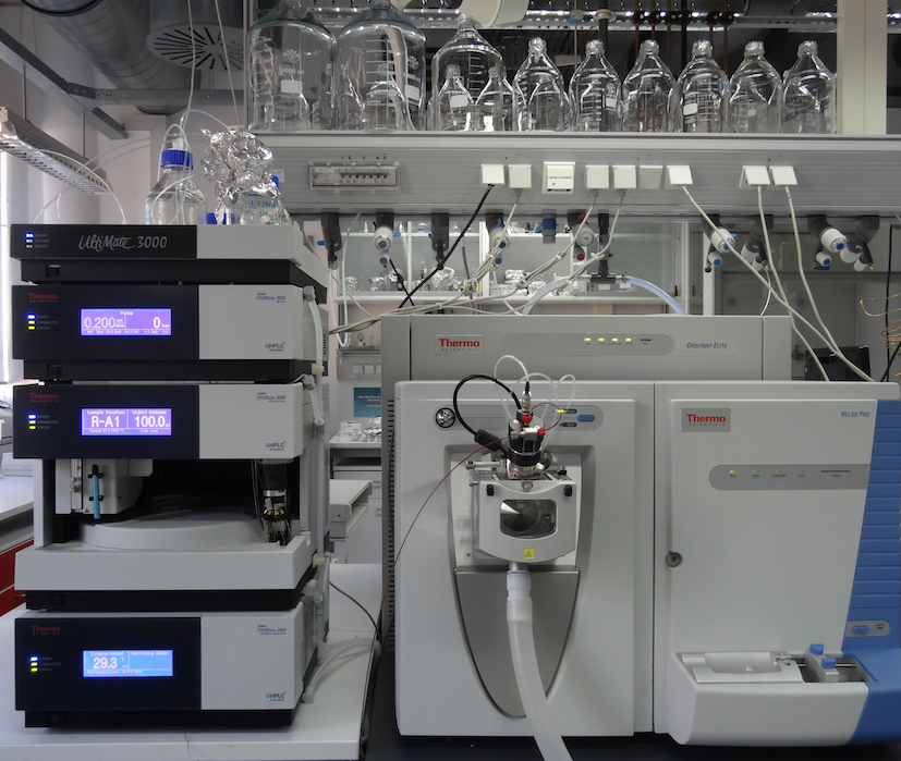 Orbitrap of the Molecular Biogeochemistry Group for high-resolution mass spectrometry and MS/MS experiments