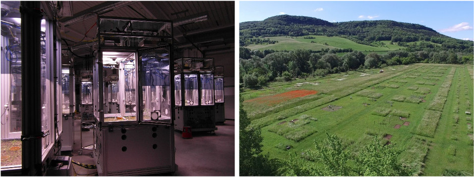 Left picture: Eco-units in the iDiv Ecotron. Right picture: Aerial photographic of the Jena Experiment field site.